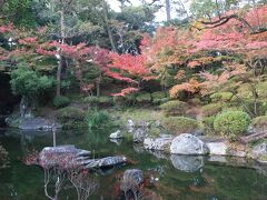 紅葉渓庭園は、ギリギリ紅葉に間に合いました。
ここは人が少なく落ち着けます。