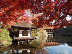 紅葉と茶室「紅松庵」も絵になります。