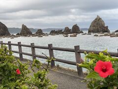 翌朝のお散歩
ハイビスカスが咲いています
高野山とは違って温暖です