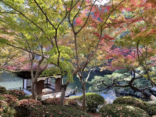 雄大な秋の山々と川 ／ わたらせ渓谷鉄道 【透明水彩風景画