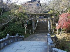 ③武雄神社

次は武雄神社へ。