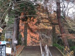 コンベアスロープを降りたら正面は鮮やかな紅葉。
少し階段を上ります。
何で上までコンベアスロープじゃないんだろう、と思いましたがこれはあとでわかりました。
