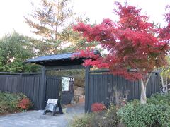 公園内に、立派な紅葉の木と和風の佇まいを発見。