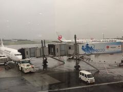 久しぶりの飛行機です(T . T)
無料で乗せて貰って申し訳ないですがありがとうございます！