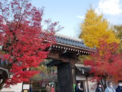 永観堂の門の木々がきれいに色づいていました。

