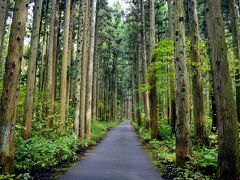 お土産も揃ったところで今日最初の目的地へ向かいましょう。
天童から林道を突き進みます。
車が一台辛うじて通れる幅の山道。
対向車が来ませんように…と願いながらそろりそろりと走りましょう。