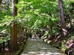 既に秋ですが、まだまだ緑も色濃い場所も。
先程の曇り空はどこへやら、木漏れ日が気持ち良い小春日和に。