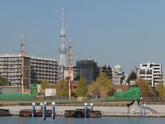 明治丸と東京海洋大学の後ろにスカイツリー
