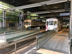 近くまで行きたいとの事なので、富山駅へ行き路面電車を見に行きました。
住んでる周辺にはないので、私も新鮮！