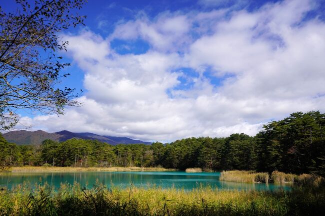 弁天沼の色がコバルトブルーです。<br />