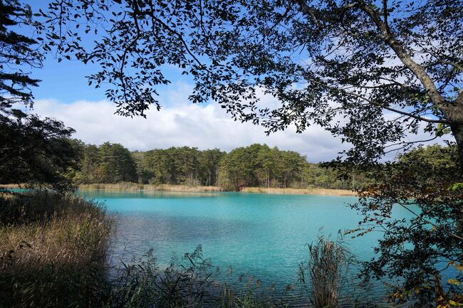 弁天沼です。こちらも色が美しい。<br />