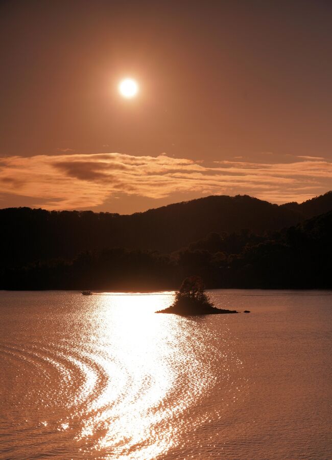 水紋が美しくでています。