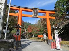 日吉大社の鳥居。境内は奥深く、かなり大きな神社です。
全国の日吉神社、日枝、山王神社の総本社だそうです。
延暦寺の護法神でもあります。
