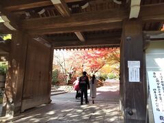 龍安寺は石庭で有名ですが、何だか紅葉が綺麗ですよ！