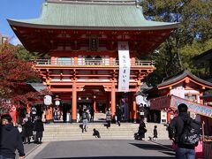 北野坂を下りて生田神社まで来ました。ちょうど七五三の季節です。