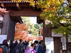 雨も上がって、永観堂に到着。
『もみじの永観堂』として、近年有名です。