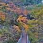 Stair Bridge to Heaven(天国への吊り橋)と昭和レトロな下部温泉／富士の国 晩秋旅