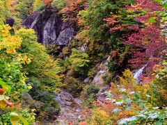 下に流れる川は紅葉川。
この時期に訪れるのがベストシーズンである事を伺わせるネーミングですね！
実際に素晴らしい眺めでした。