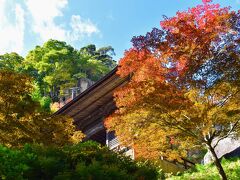 はぁはぁはぁ…。
仁王門まで登ってきました。
紅葉になりかけの赤と黄色が混在した木が好きなのです。