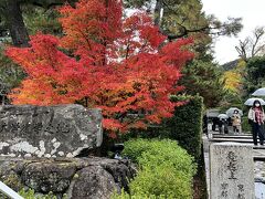 知恩院山門近く。