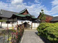 「大覚寺」

拝観料500円。祇王寺とのセット券は600円です。

嵯峨菊が綺麗です。