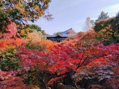 綺麗に色づいた紅葉が。
12時前に着くことができました。