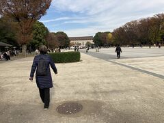 上野恩賜公園 竹の台広場です。
東京国立博物館が見えて来た。
