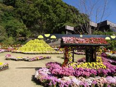 菊で作られた桜島です。