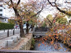 ホテルの横には高瀬川が流れています。ネットで確かめましたが、志賀直哉のあの高瀬川です。
今は水量が少なくて想像もできませんが、川に沿ったこの通りを「木屋町通り」と言うのですから、昔は船や材木を組んだ筏などが往来していたのでしょう。