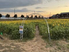 道の駅 東近江市 あいとうマーガレットステーション