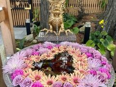 おはようございます。
ホテルのすぐ近くからバスが出ていたので、朝も早くから白山神社までやってまいりました。
花手水素敵だな…。