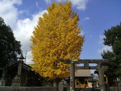 帰宅途中、みやま市高田町の竹飯八幡宮を通りました。銀杏の葉が風に舞い、とてもきれいでした。

これにてこの旅行記は終了します。
最後までご覧いただきありがとうございました。