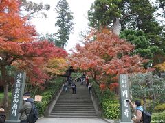 北鎌倉　円覚寺の門前　12:05頃

北鎌倉駅のすぐ横にある円覚寺、紅葉の時期には凄い人になるのですが、
「あれ？やはり人が少ないかも」。
石段右側のモミジの葉は枯れている感じがします。

先ほどまでは青空が見えていたのですが、北鎌倉に到着すると曇り空でした。