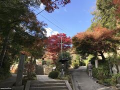 海蔵寺の門前

こちらもお気に入りの寺の一つで何度もお邪魔しています。
特に、萩の花を楽しませてもらっています。