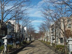 鶴岡八幡宮前の若宮大路　段葛　14:45頃

誰も歩いていません。
密は避けられて良いのですが、鎌倉で商売をされている方は大丈夫でしょうか？
（蜜を避けるため小町通り商店街は歩きませんでしたが、お客さんが減って閉めたお店もあるようです。）