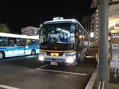 バスは定刻より少し早く宮崎駅に到着しました。
明日も早いのでホテルへ向かいます。