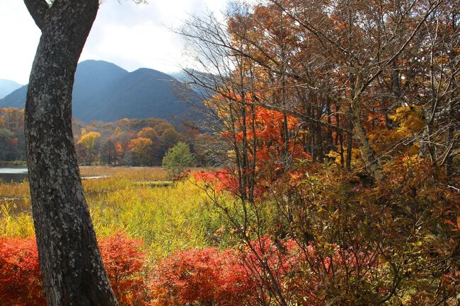 ◇秋燃ゆる観音沼、錦秋の明神滝、那須連峰と釈迦堂川の夕焼け』湯野上