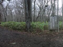道立自然公園 野幌森林公園