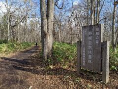 野幌森林公園に到着。この日は晴れたので寒いです。前日は雨だったのですが、暖かかったです（この時期、北海道は寒いと雪になりますからね）。