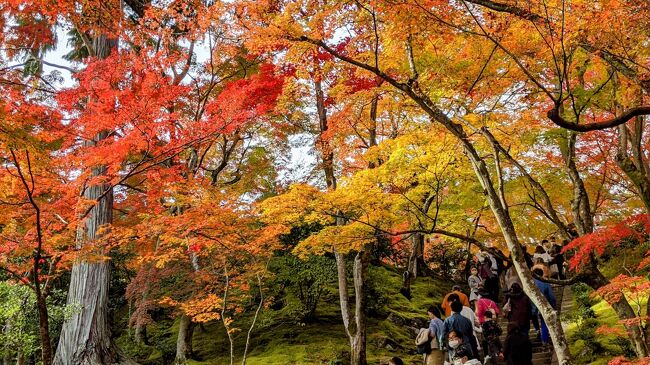 2021年11月京都紅葉紀行⑧嵐山～常寂光寺とカフェ風陶