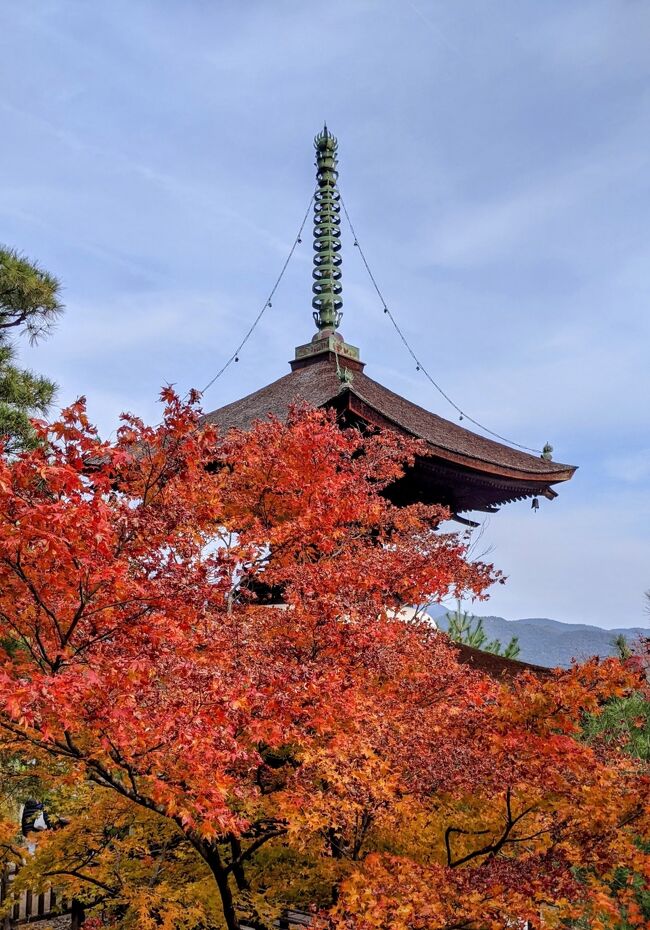 風景画「紅葉の常寂光寺Ⅱ」油彩画 F10 京都・嵯峨野 張り