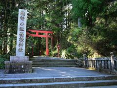 ●箱根神社

港から10分ほどで、「箱根神社」の境内の入口にあたる第三鳥居の前へ。
この地に鎮座してから1250年以上にもなる歴史ある古社で、鎌倉時代の源頼朝や江戸時代の徳川家康など、その時代の武家から篤い信仰を集めたそうです。