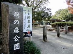 　　コロナ禍になる前は四日市や津には仕事で来ていたので
　　なんとなく把握しているつもりです
　　　