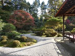 別の角度から撮った庭。カエデの色彩が少しずつ変化する秋の情景です。
訪問の10日後に放送された京都テレビの紅葉特番が、ここ曼殊院からの中継でした。右手に見える回廊で押尾コータローさんが演奏していたっけ。