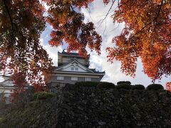 越前大野城　天守

石垣は野面積みという自然石を加工しないで積む

古い工法で造られた