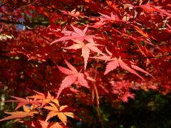 お天気にも恵まれ、ちょうど紅葉のいい季節。とても気持ちよく歩けました。