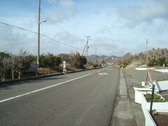 館山ファミリーパーク前の道路は房総フラワーラインと呼ばれるようですが、12月なので花はほとんどナシ。