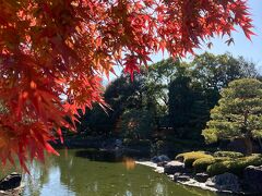 白鳥庭園　入園料300円
紅葉が見ごろ