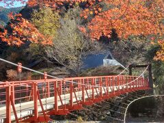 少し歩いて、（香嵐橋）吊り橋を渡ります。
道中は、ほんとにチラホラ赤かった程度