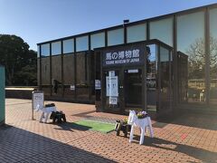 馬の博物館(根岸競馬記念公苑)